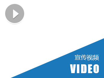 365速发国际(中国)官方网站